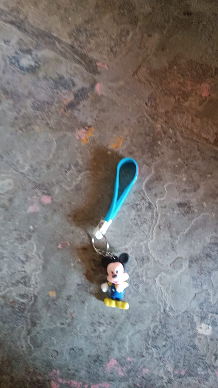 Cute Cartoon Silicone 3D Key Chain with Metal Hook & Strap (Pack of 1) Cute Cartoon Silicone 3D Key Chain with Metal Hook & Strap (Pack of 1)